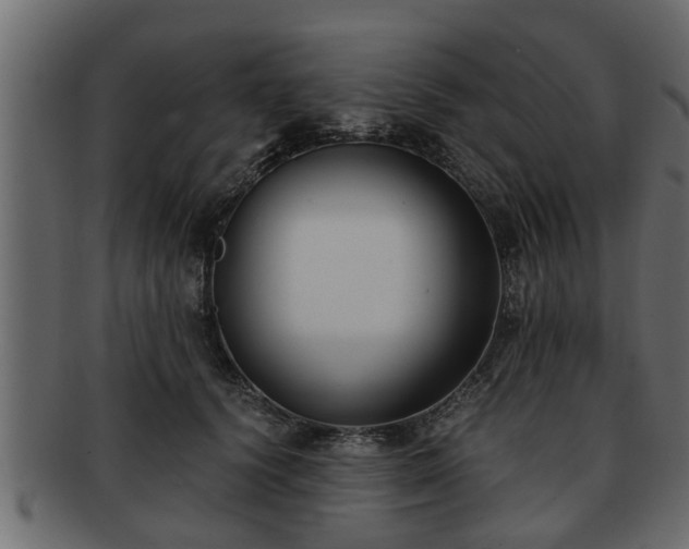 X0000092270656200710041353