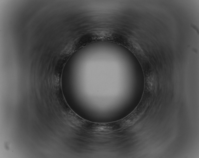 X0000092270657200710041353