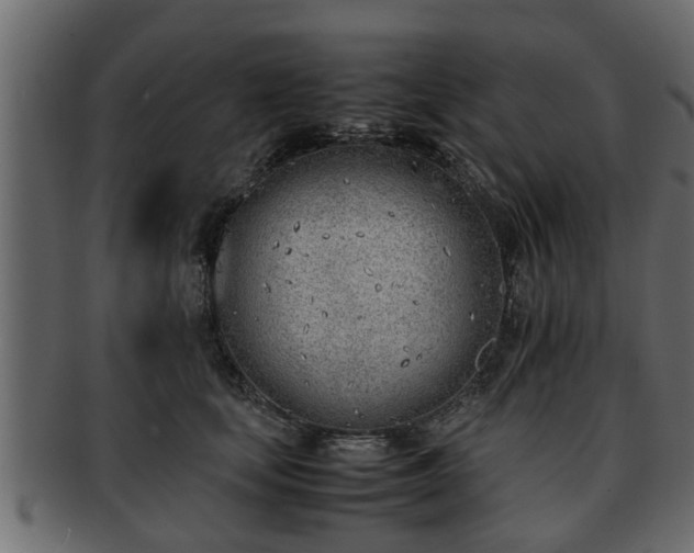 X0000092270659200710041353