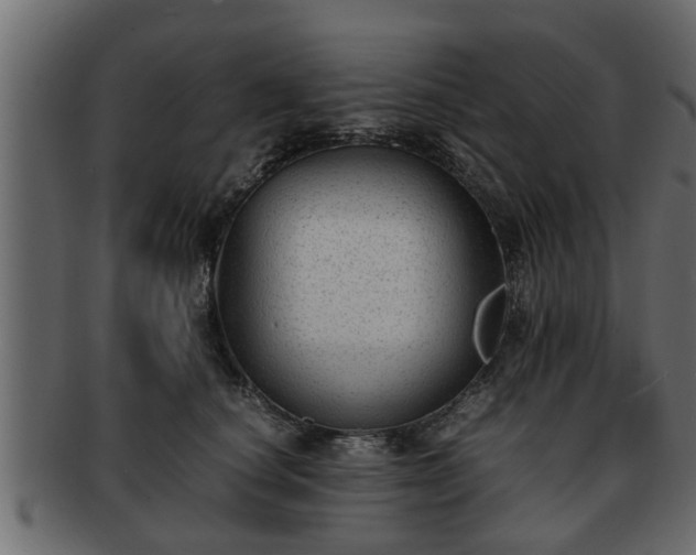 X0000092270660200710041353