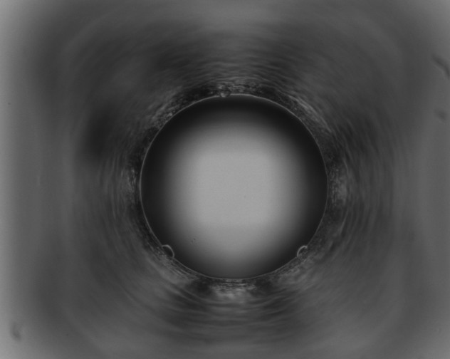 X0000092270661200710041353