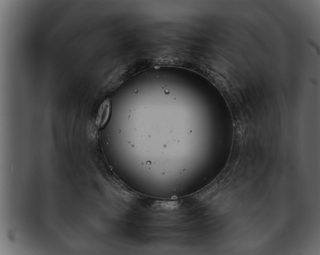 X0000092270665200710041353
