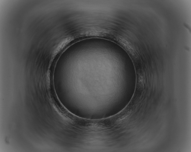 X0000092270678200710041353