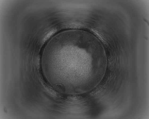 X0000092270679200710041353
