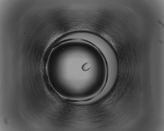 X0000092270680200710041353