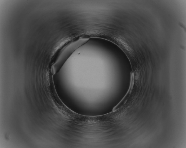X0000092270684200710041353