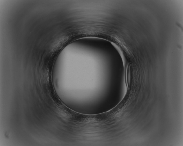 X0000092270685200710041353
