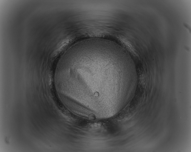 X0000092270687200710041353