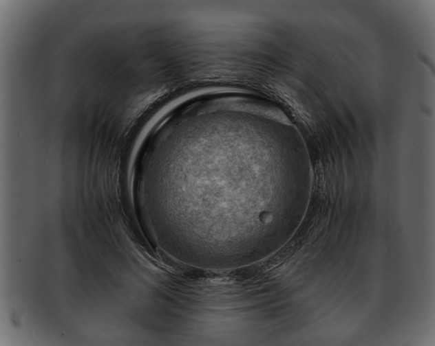 X0000092270692200710041353