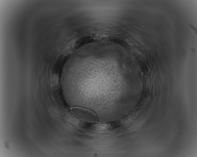 X0000092270711200710041353