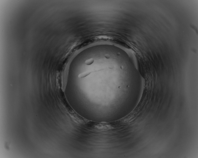 X0000092270712200710041352