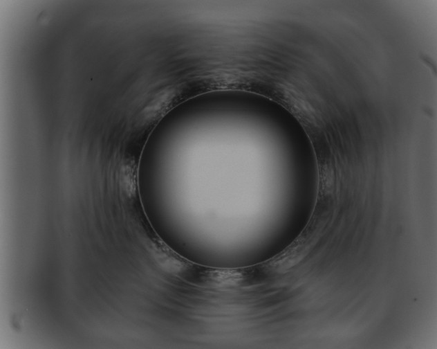 X0000092270719200710041352