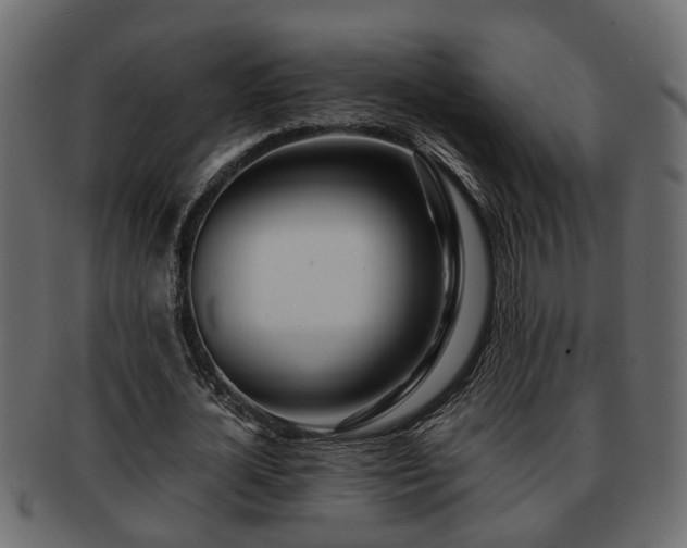X0000092270724200710041352
