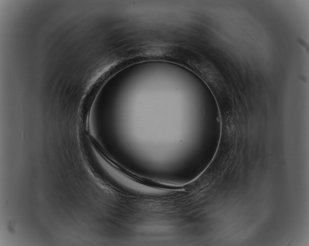 X0000092270728200710041352