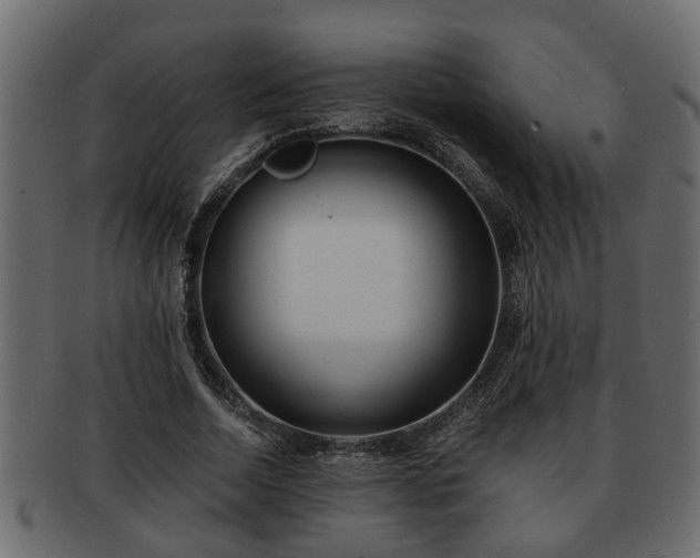 X0000092270730200710041352