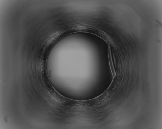 X0000092270732200710041352