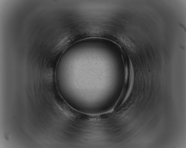 X0000092270744200710041352