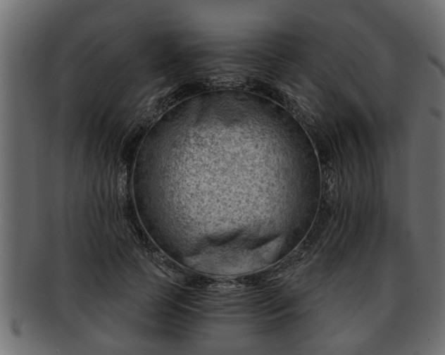X0000092270745200710041352