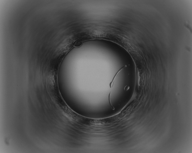 X0000092270746200710041352