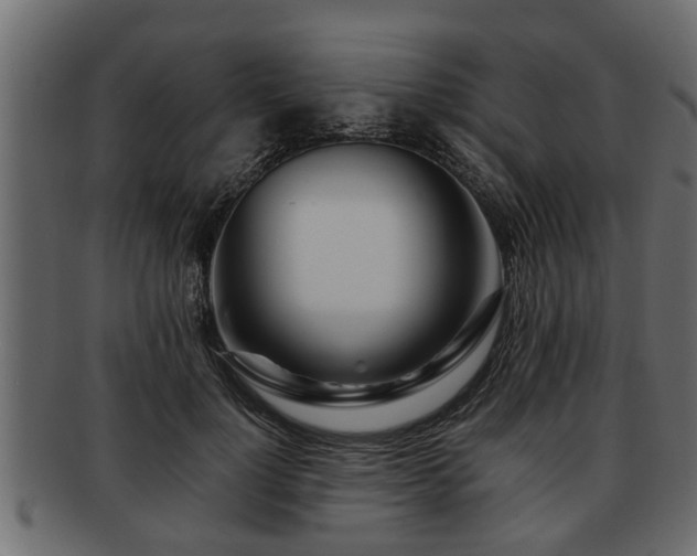 X0000092270748200710041352