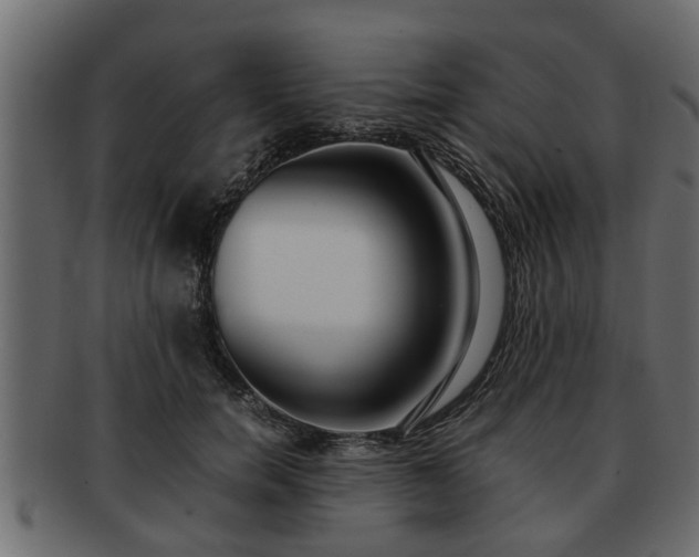 X0000092270750200710041352