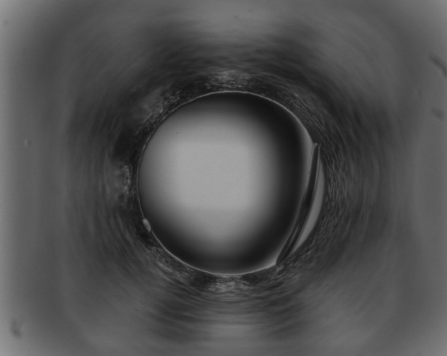 X0000092270752200710041352