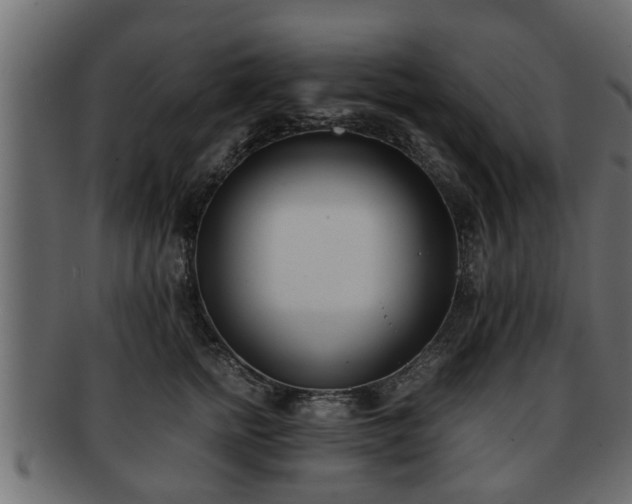 X0000092270758200710041352