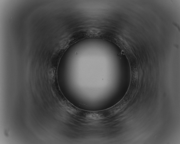 X0000092270759200710041352