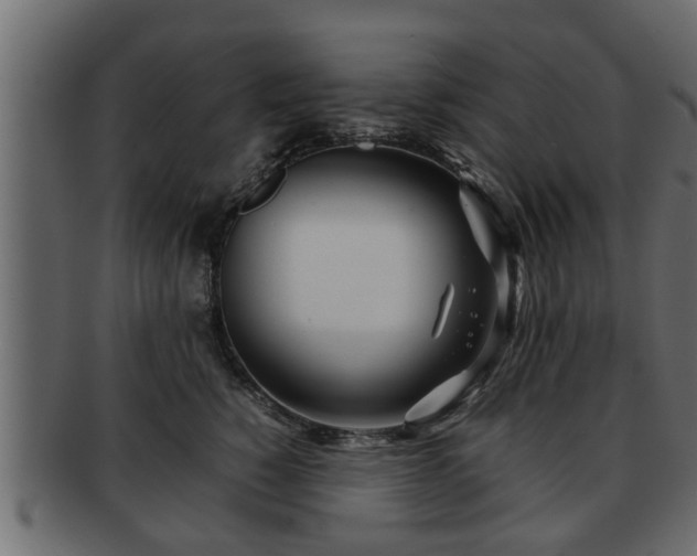 X0000092270760200710041352