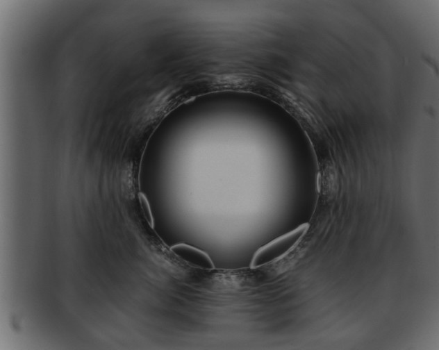 X0000092270764200710041352