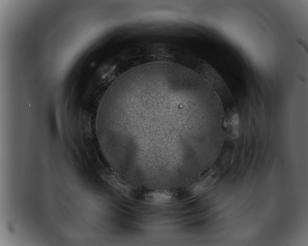 X0000092270765200710041352