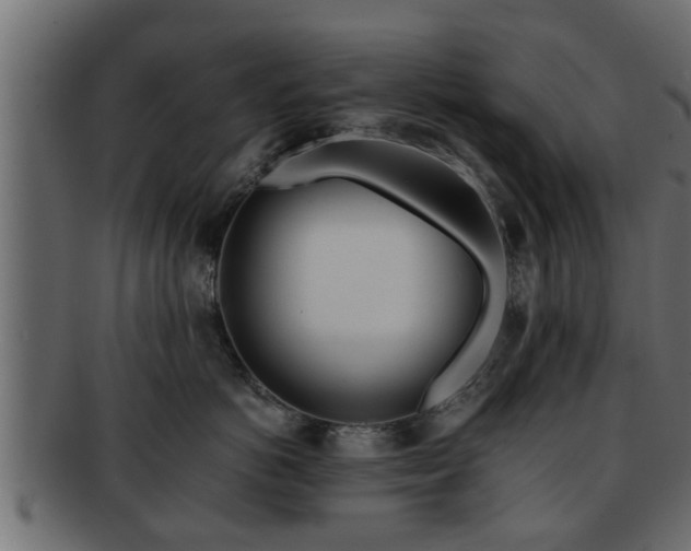 X0000092270766200710041352