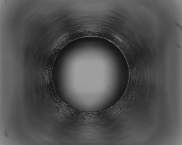 X0000092270774200710041352