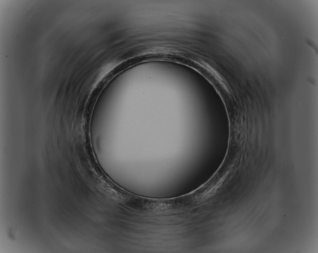 X0000092270783200710041352