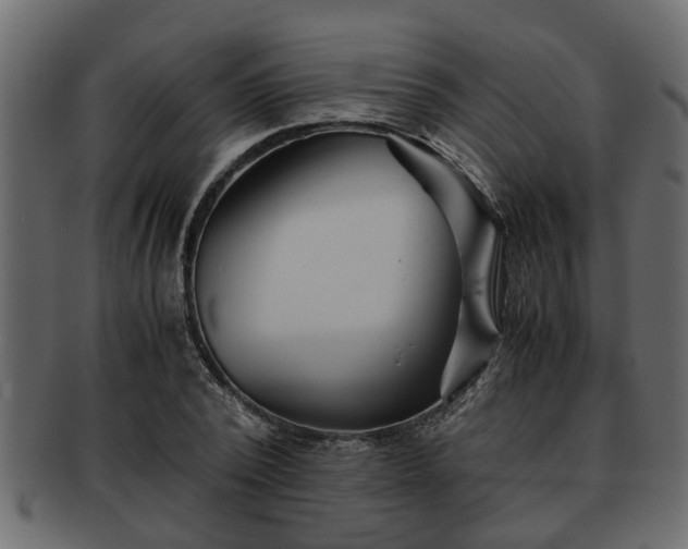 X0000092270784200710041352