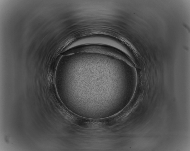X0000092270785200710041352