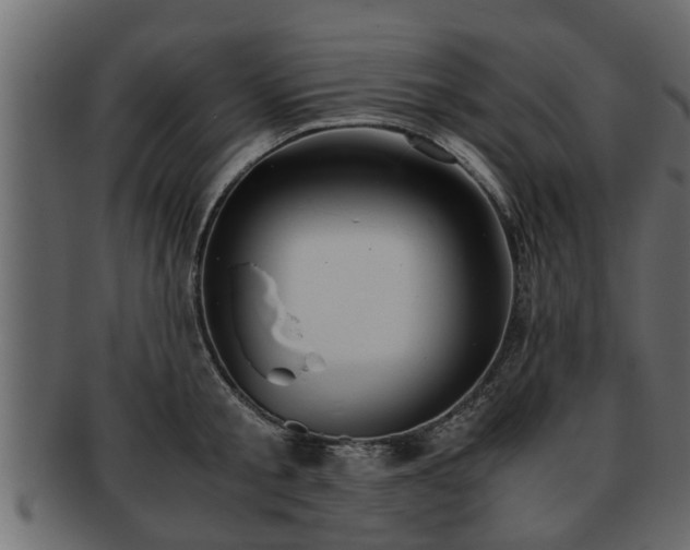 X0000092270805200710041351