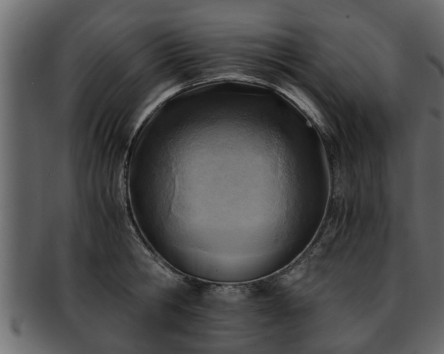 X0000092270806200710041351