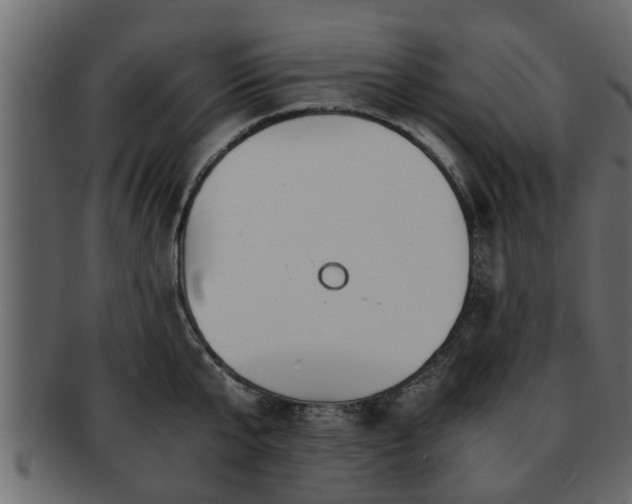 X0000092270807200710041351