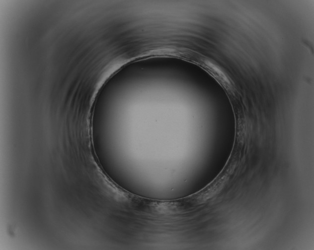 X0000092270808200710041351