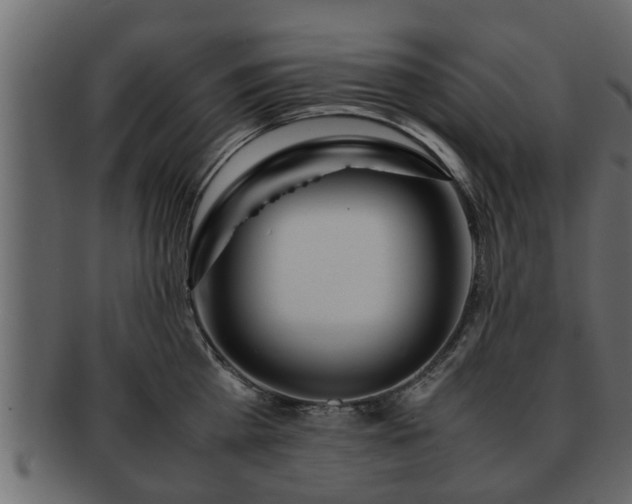 X0000092270809200710041351