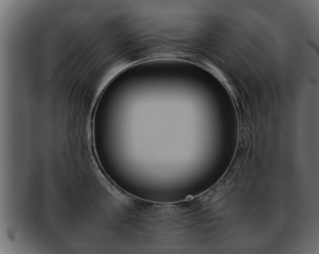 X0000092270811200710041351