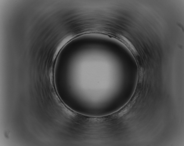 X0000092270812200710041351