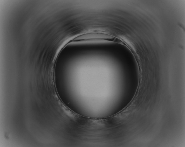 X0000092270816200710041351