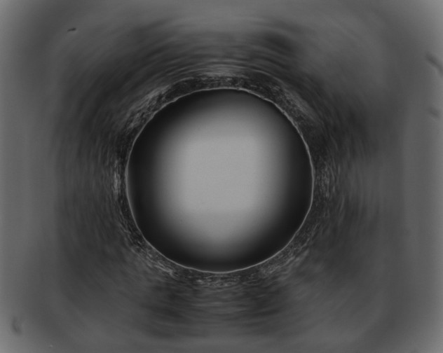 X0000092270821200710041351