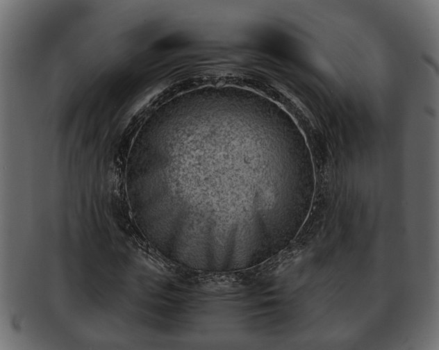 X0000092270823200710041351