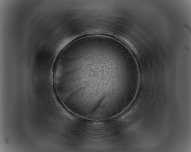 X0000092270839200710041351