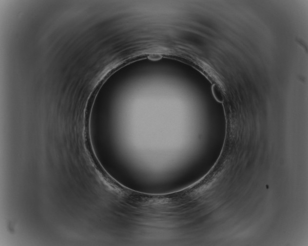 X0000092270845200710041351