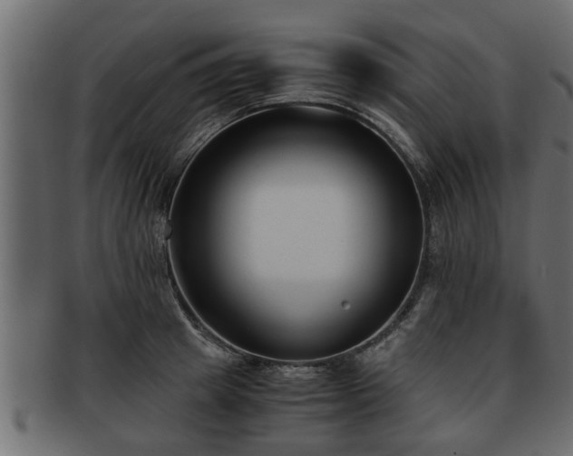 X0000092270849200710041351
