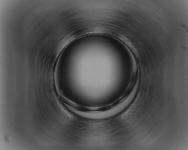 X0000092270850200710041351